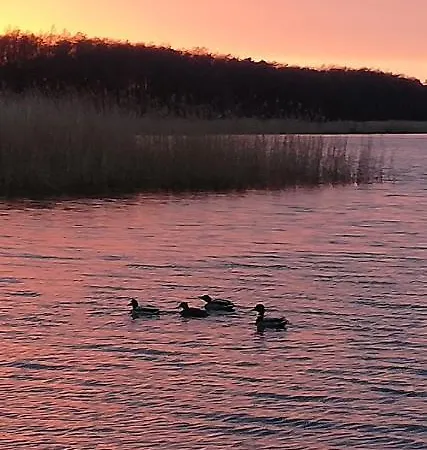 Ferienhaus Letniskowe Hamer