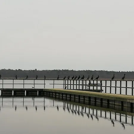 Letniskowe Hamer Feriehus *