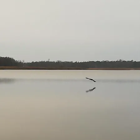 Feriehus Letniskowe Hamer *