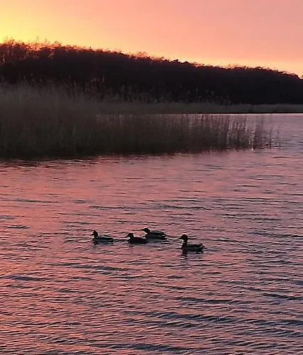 Nyaraló Letniskowe Hamer