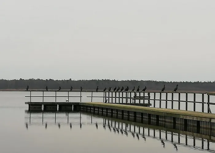 Letniskowe Hamer Nyaraló *