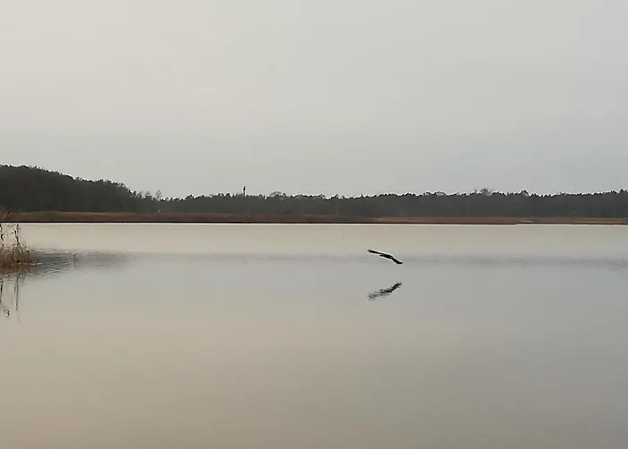 Semesterbostad Letniskowe Hamer *